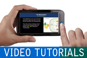 Video Tutorials